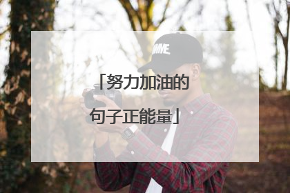努力加油的句子正能量