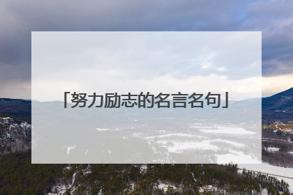 努力励志的名言名句