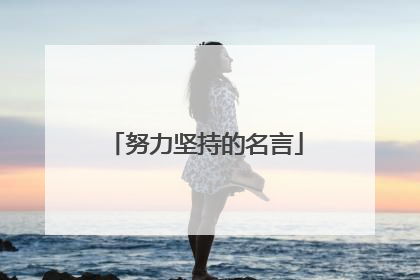 努力坚持的名言