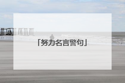 努力名言警句