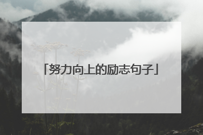努力向上的励志句子