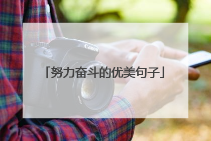 努力奋斗的优美句子