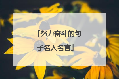 努力奋斗的句子名人名言