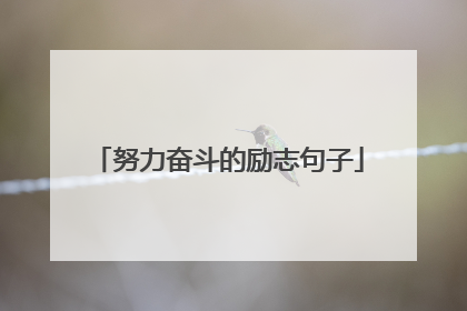 努力奋斗的励志句子