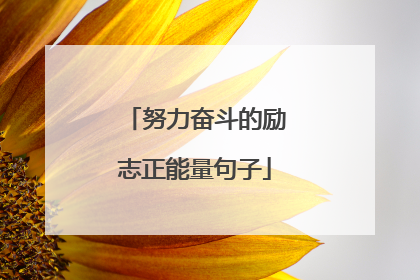努力奋斗的励志正能量句子