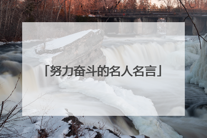 努力奋斗的名人名言