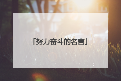努力奋斗的名言