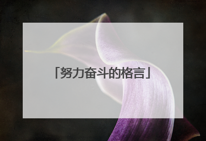 努力奋斗的格言