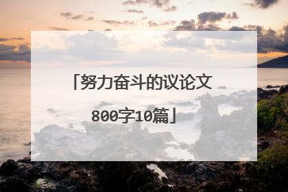 努力奋斗的议论文800字10篇