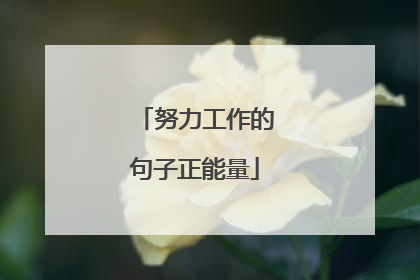 努力工作的句子正能量