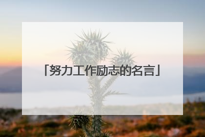 努力工作励志的名言