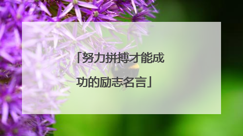 努力拼搏才能成功的励志名言