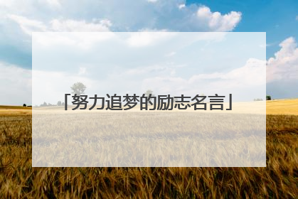 努力追梦的励志名言