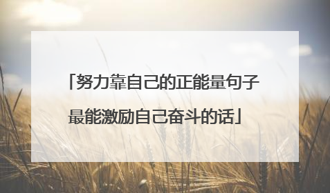 努力靠自己的正能量句子最能激励自己奋斗的话