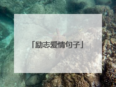 励志爱情句子