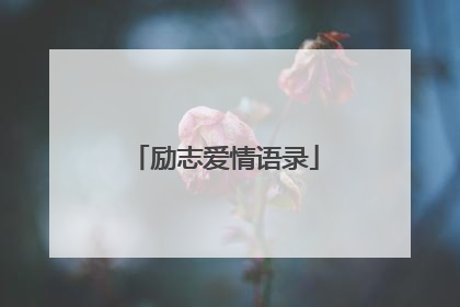 励志爱情语录