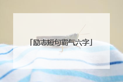 励志短句霸气六字