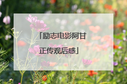 励志电影阿甘正传观后感