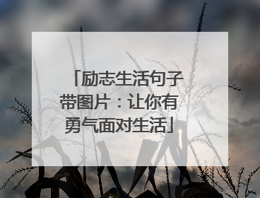 励志生活句子带图片：让你有勇气面对生活