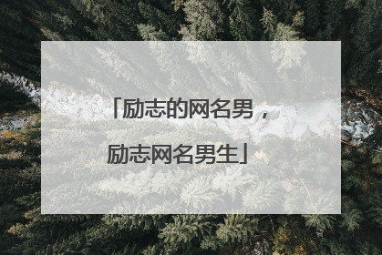 励志的网名男,励志网名男生