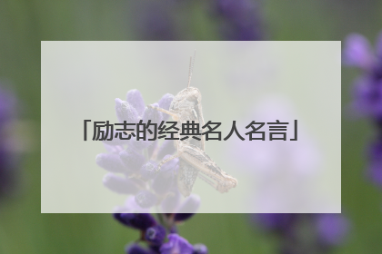 励志的经典名人名言