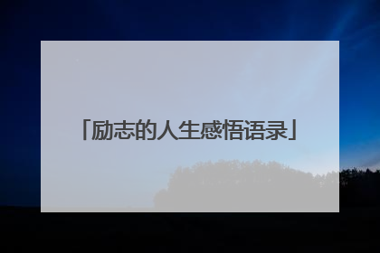 励志的人生感悟语录