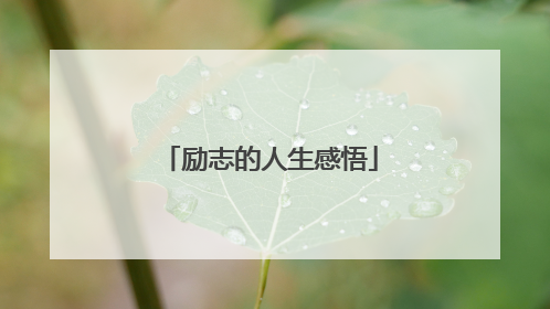 励志的人生感悟
