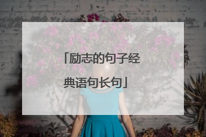 励志的句子经典语句长句