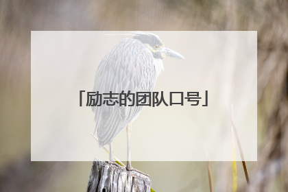 励志的团队口号