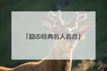 励志经典名人名言
