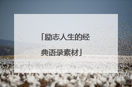 励志人生的经典语录素材