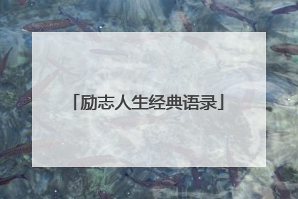 励志人生经典语录