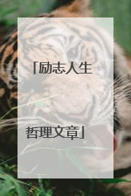 励志人生哲理文章
