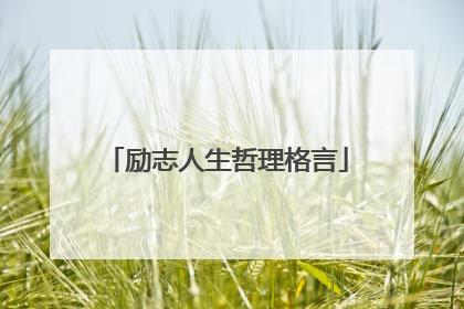 励志人生哲理格言