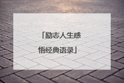 励志人生感悟经典语录