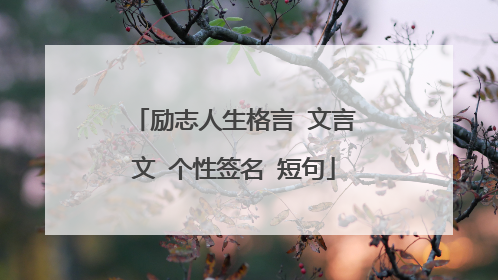 励志人生格言 文言文 个性签名 短句