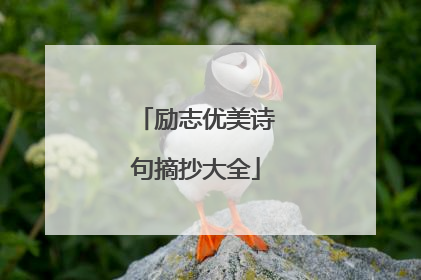 励志优美诗句摘抄大全