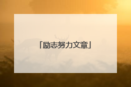 励志努力文章