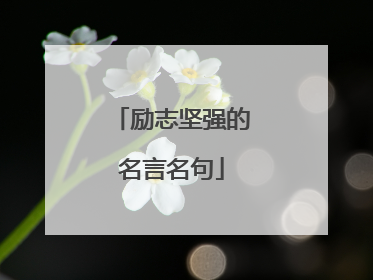 励志坚强的名言名句