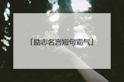 励志名言短句霸气