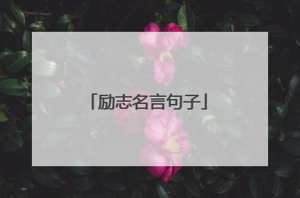 励志名言句子