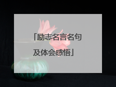 励志名言名句及体会感悟