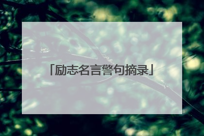 励志名言警句摘录