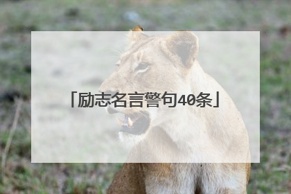 励志名言警句40条