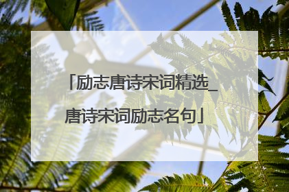 励志唐诗宋词精选_唐诗宋词励志名句
