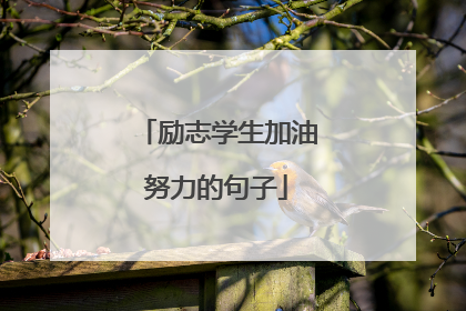 励志学生加油努力的句子