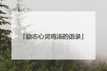 励志心灵鸡汤的语录