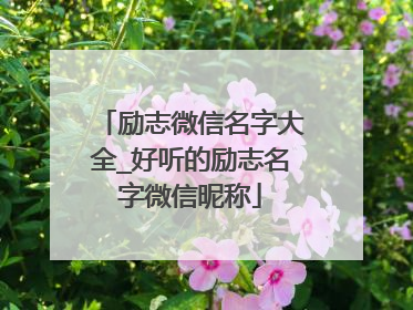 励志微信名字大全_好听的励志名字微信昵称