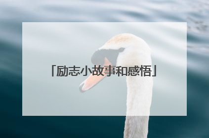 励志小故事和感悟
