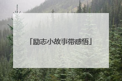 励志小故事带感悟